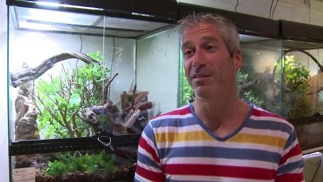 Les Français fans de serpents,lézards,caméléons]