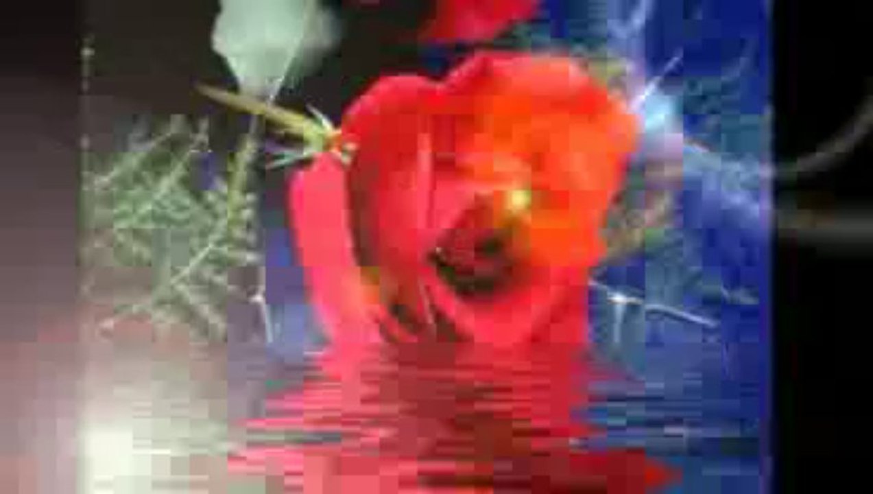 Irfan Gültekin.Dostum    Dostum