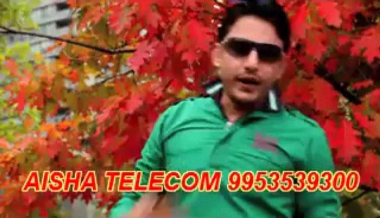 gadi nadi