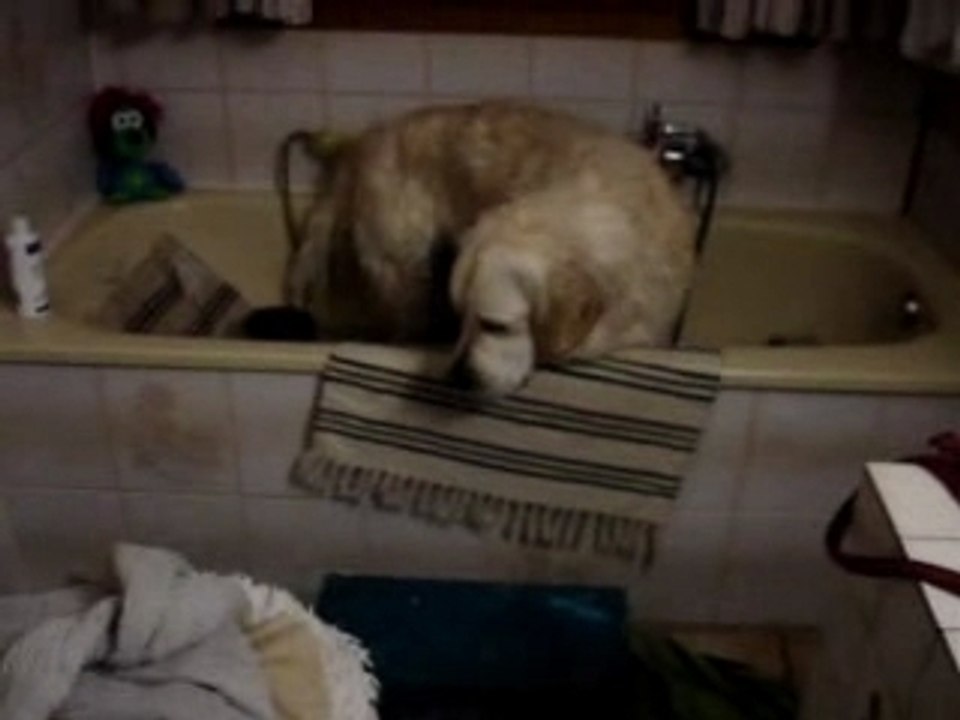 bain fin