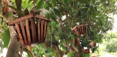 Rock'R2 Pocket vibration speaker