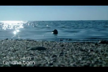 شيلة قو العزيمه.... صالح اليامي