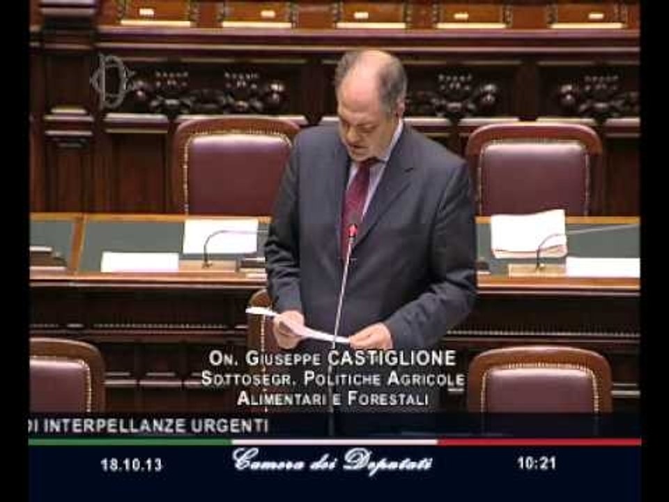 Roma - Camera - 17° Legislatura - 100° seduta (18.10.13)
