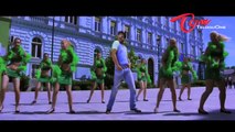 Bhai Movie Songs | O Pilla Pilla | Nagarjuna | Richa Gangopadhyay