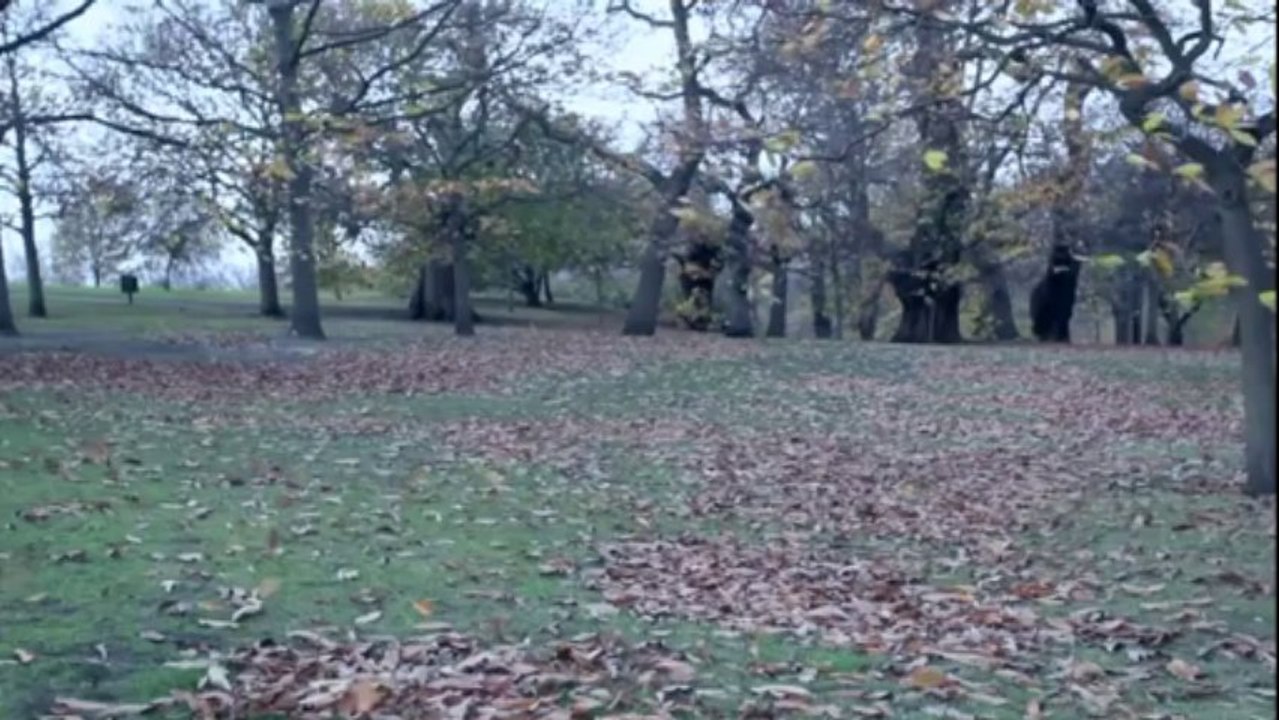 Motivación - La persona más importe