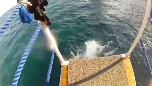 МОТИКА: Дебелко кој ги руши сите предрасуди за дебелите луѓе