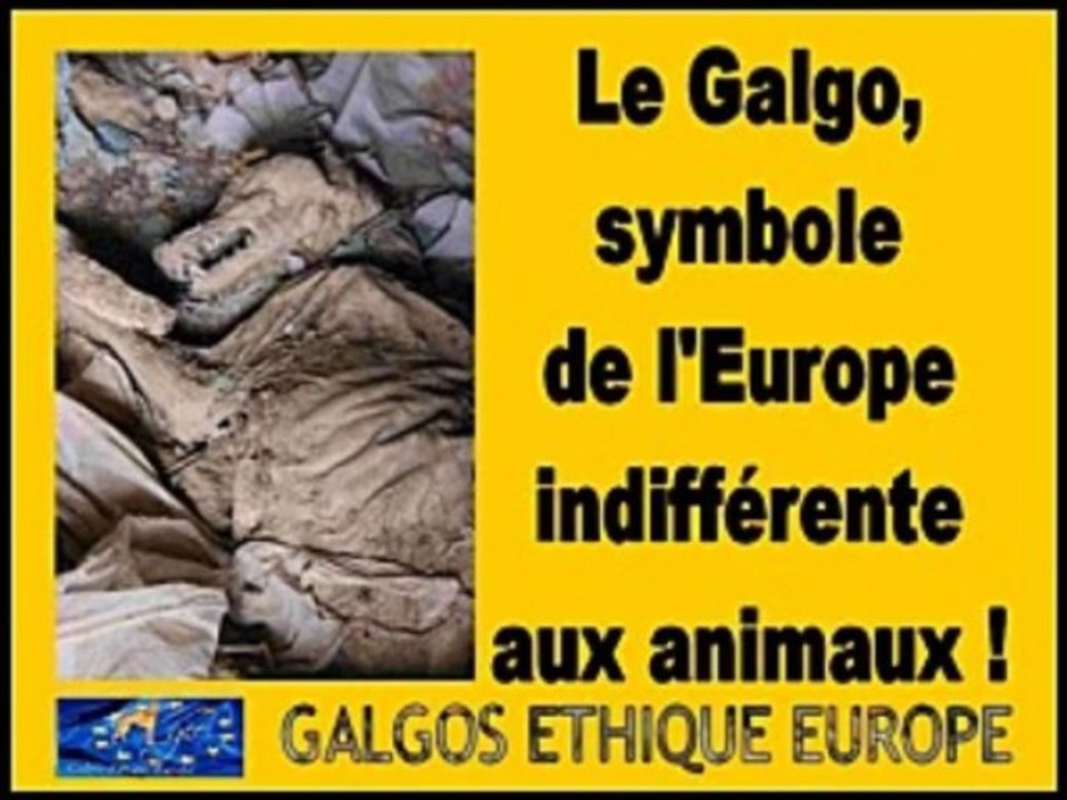 commission-europeenne-16-septembre-2013-petition-galgos-ethique-europe-1254-2012-soutien-Madame-STIFFLER-Michele