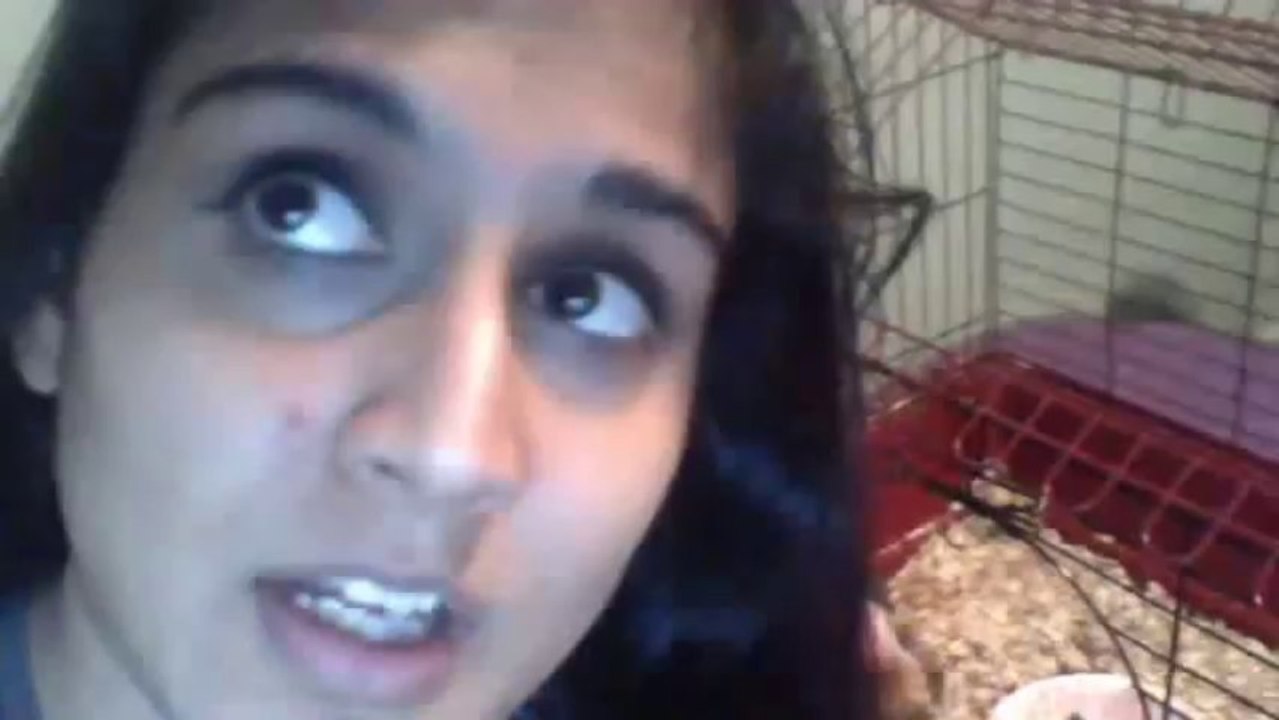 Rapper Eminem Official Rap God (Audio) Music Video sounds amazing - my thoughts