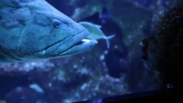 Rolian (Feat Tymers) - Na Poin Dote [Clip Officiel]