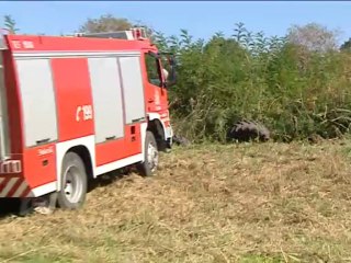 Θανατηφόρο με τρακτέρ στον Άγιο Σεραφείμ