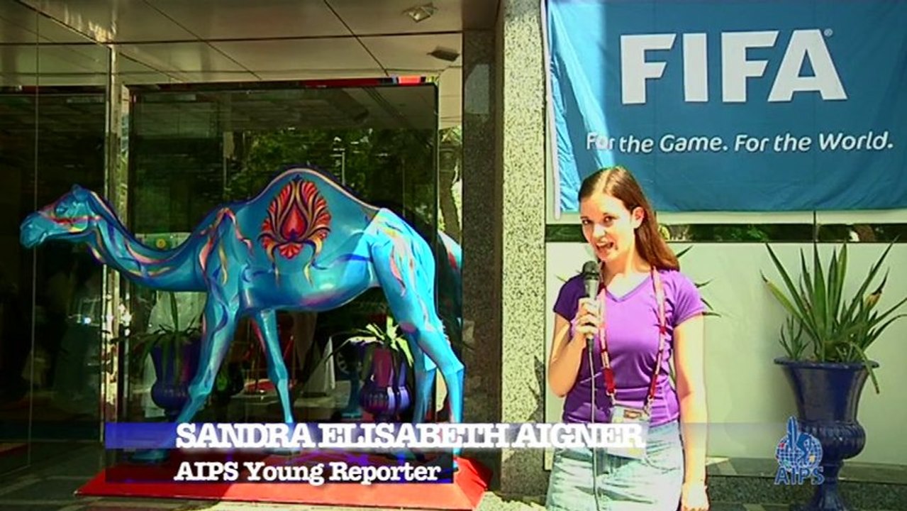 FIFA U-17 World Cup UAE 2013: coaching for coaches