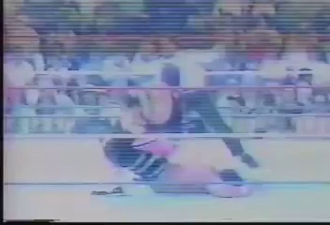Bret "Hitman" Hart vs Hercules - WWF Intercontinental Title