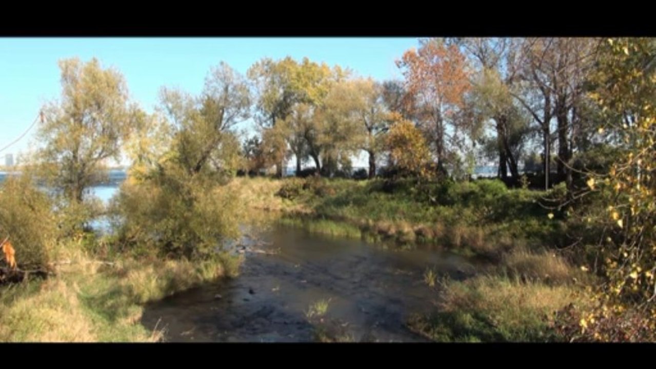 Mozart Ave Verum Corpus - Chorale Guller Chorus - Orchestre Germain orchestra