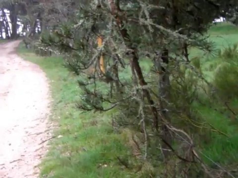 Deuxième pélerinage : du Puy en Velay à Santiago - 4 ème étape : de St Alban sur Limagnole à Les Gentianes