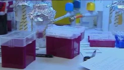 WhatsApp se llena de lazos rosa en el Día Internacional contra el Cáncer de Mama