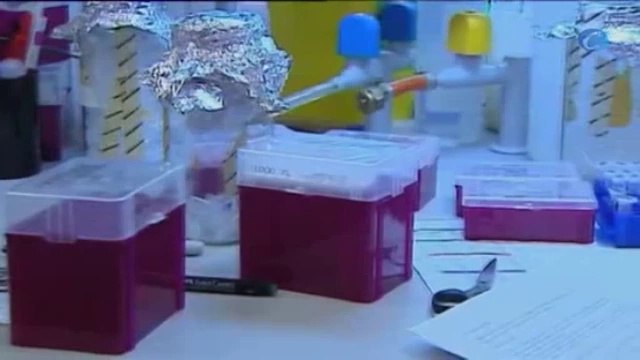 WhatsApp se llena de lazos rosa en el Día Internacional contra el Cáncer de Mama