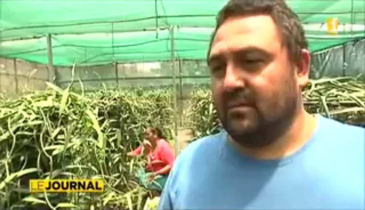 100 tonnes de vanille d'ici 2016