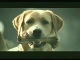 Funny Banned Commercial - Dog Suicide gone wrong