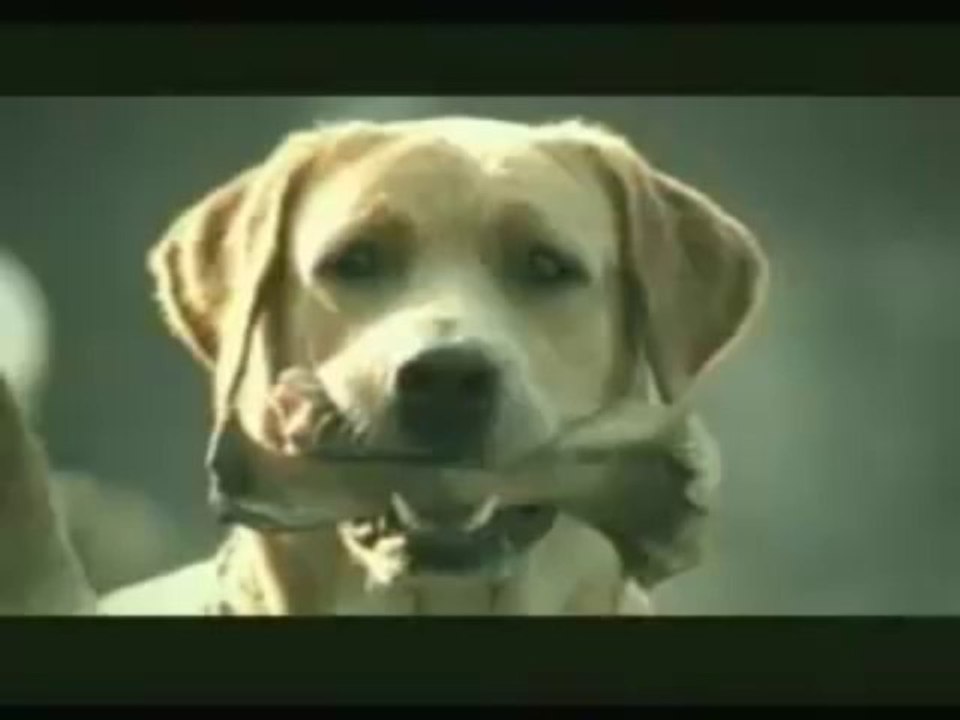 Funny Banned Commercial - Dog Suicide gone wrong