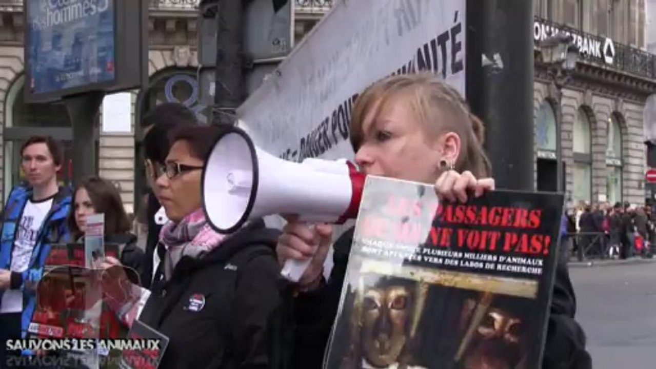 Rassemblement anti vivisection devant l'agence Air France Operas (19.10.2013)