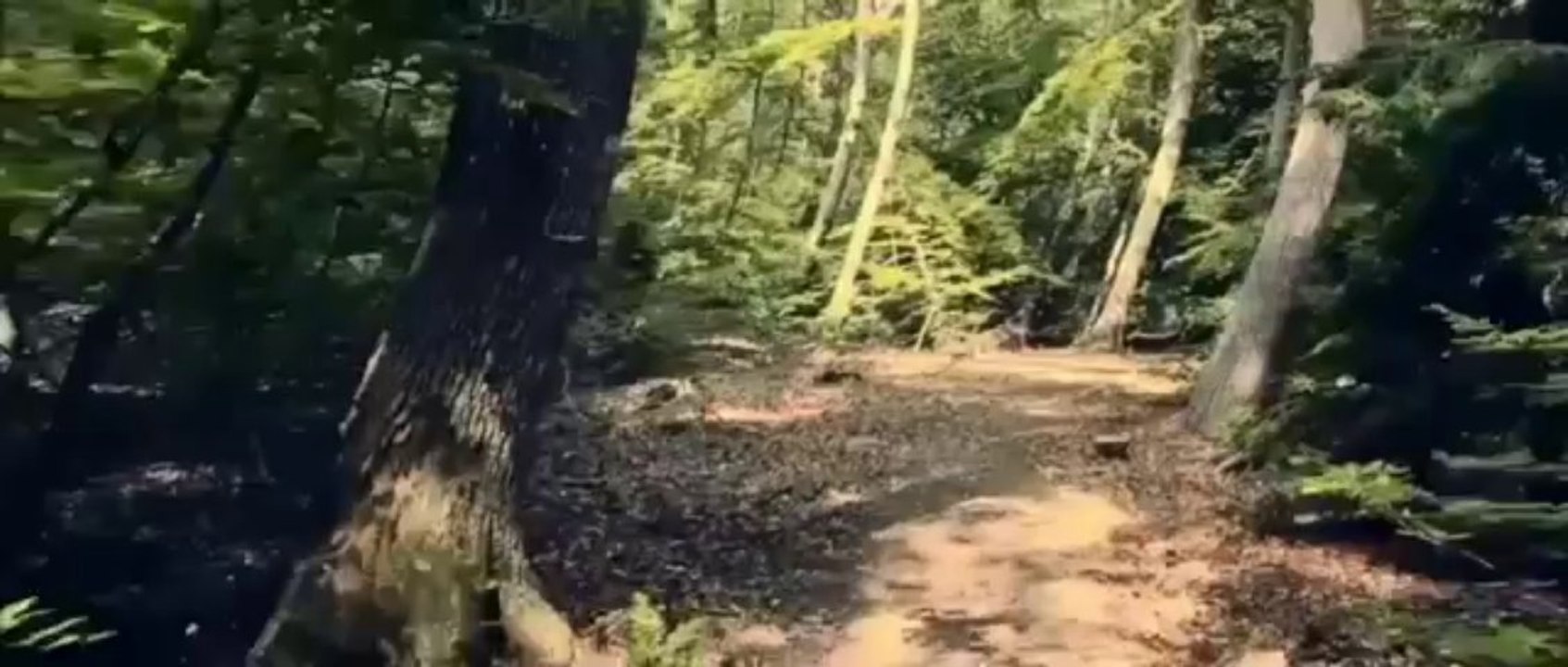 Apocalyptic Scenario (music: M83 'Outro')