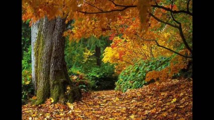 JUÍZES CAP 17 - A BÍBLIA NA LINGUAGEM DE HOJE