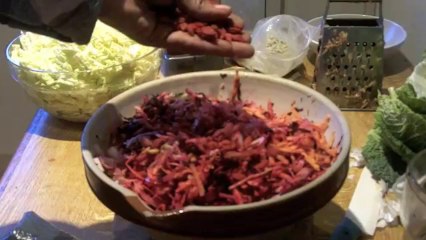 Enhance the potency of plantmedicine with ferments