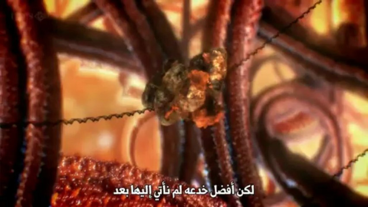 وثائقي الـ بي بي سي: سر حياة الخلية الخفي