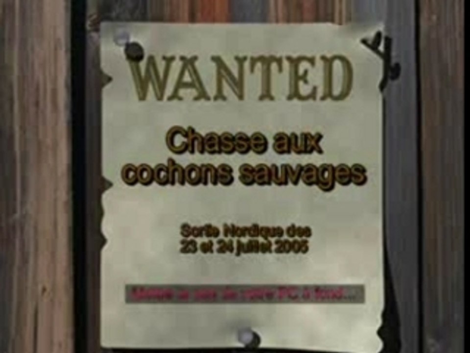 Les cochons sauvages (V2)