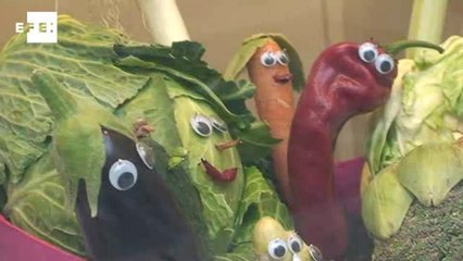 Jornada gastronômica propõe diferentes usos de legumes e verduras