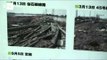 Japanese farmers face post-tsunami challenges
