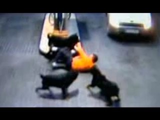 Three Rottweilers attack two people at filling station
