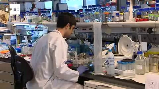 De Guindos confirma la creación de la agencia estatal de investigación