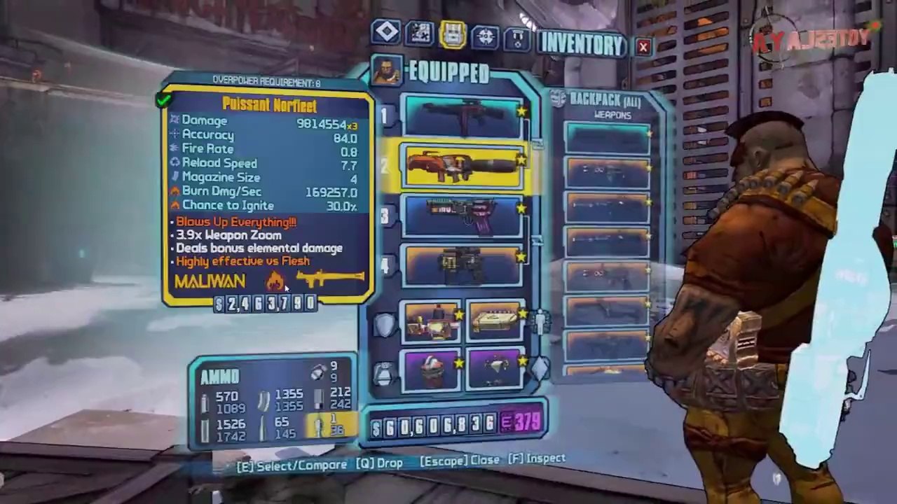 BORDERLANDS 2 | *Bekah* Pearlescent Weapons Guide!!! *Raid on Digistruct Peak*