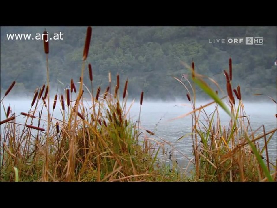 Johann Strauss - Blue Danube