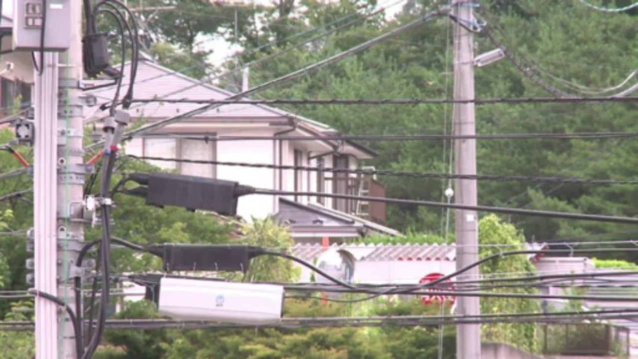 Au Japon, les entreprises se branchent sur l'électricité maison