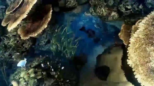 Call of Duty - Ghosts : LEAKED Official Launch Trailer