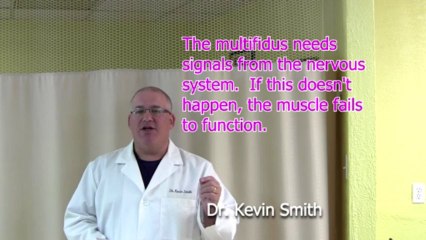 Hidden Secret #2 Why You Still Have Back Pain