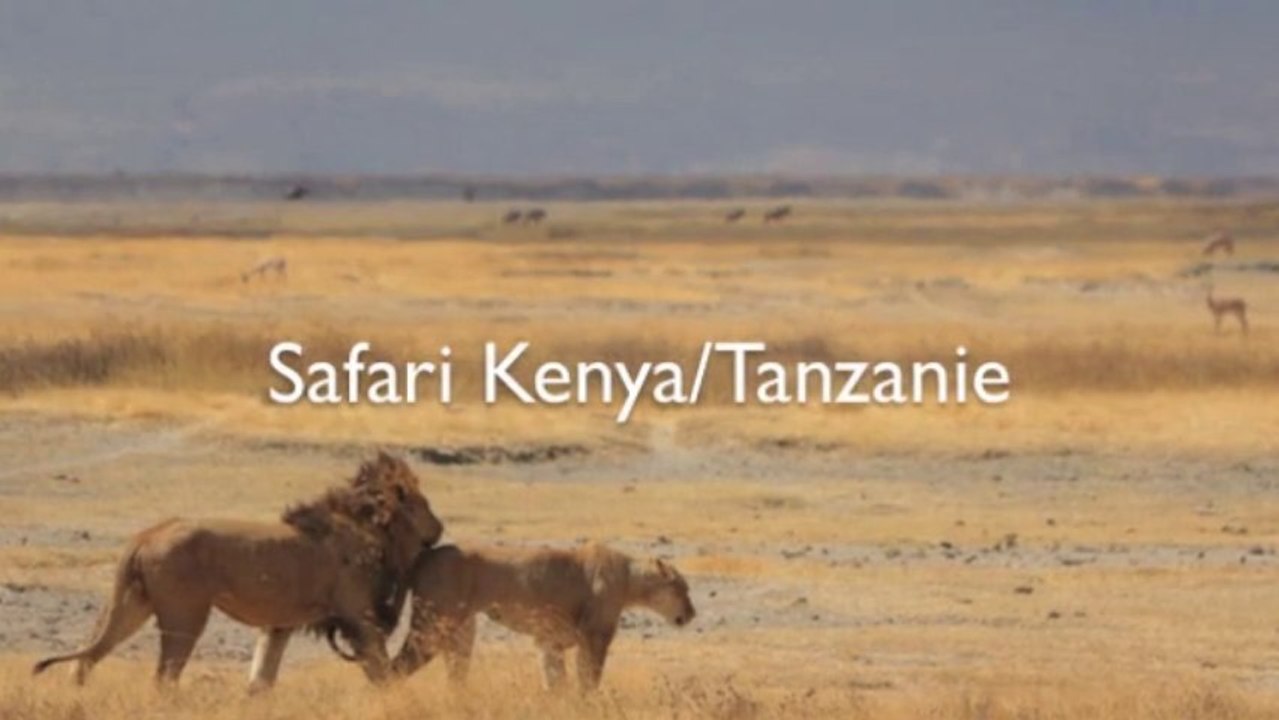 Safari Kenya Tanzanie