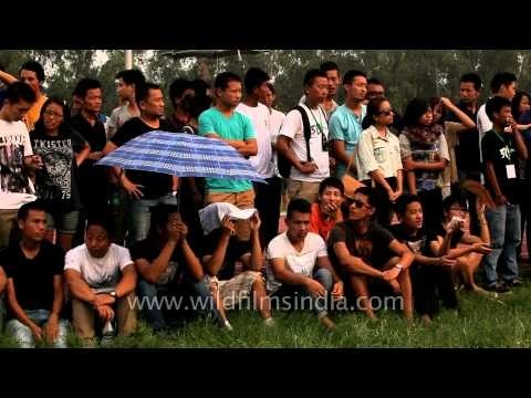 Waiting eagerly for greased pole climbing : At the Naga Fest '13