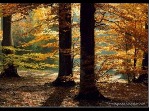 1 SAMUEL CAP 3 - A BIBLIA NA LINGUAGEM DE HOJE