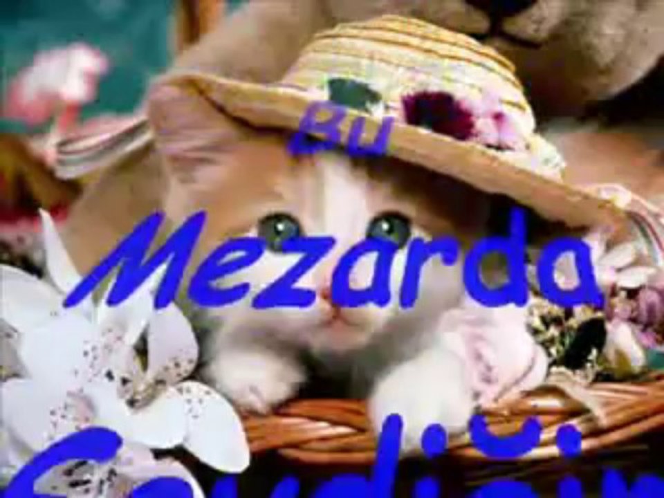 DaMar İsTeYeNLer Bu ŞaRKıyı DiNLeSin(Bu MeZaRda SeVdiĞiM Var