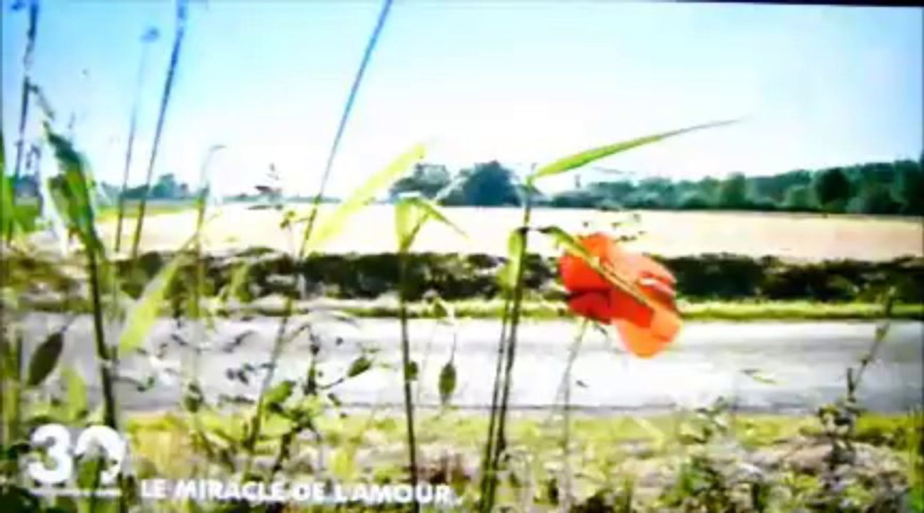 chariot pour chien Pagani avec 30 millions d'amis