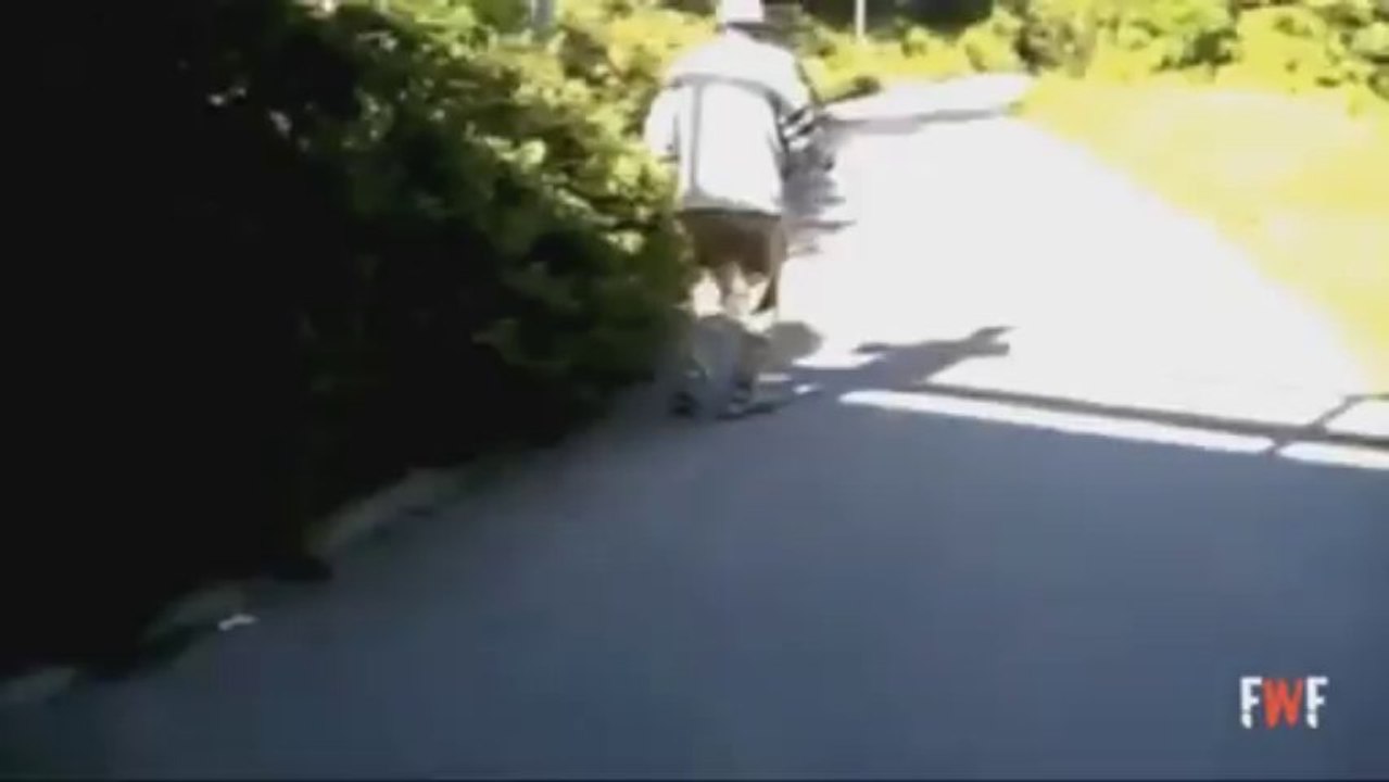 VLdesignsFunny45 bonno van der putten mcp