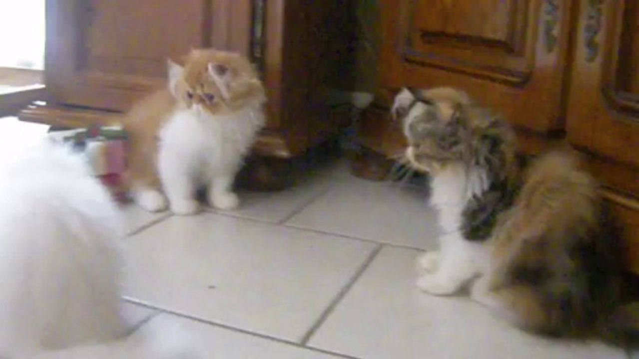 IMGP0002