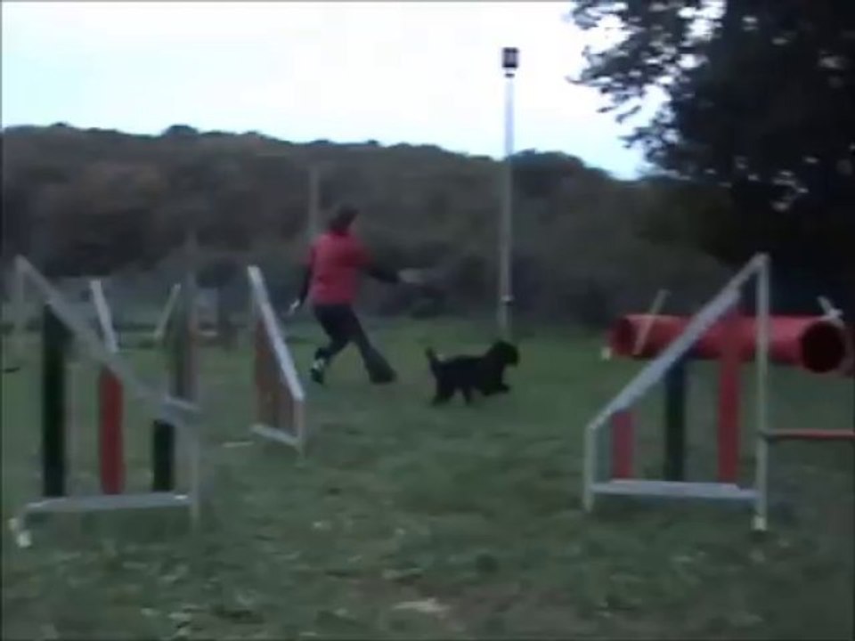 20102013 montage small et ta