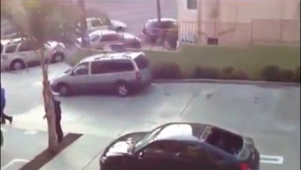 güvercin videoları