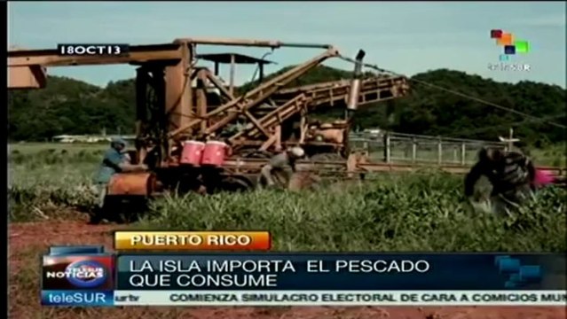 Pretende Puerto Rico aumentar producción alimentaria
