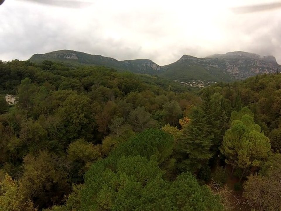 bar sur loup + Gimbal ON 2