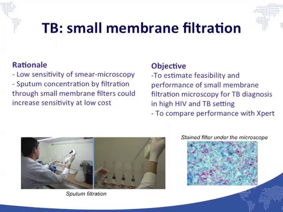 Journée Scientifique Epicentre 2013 - Anne-Laure Page